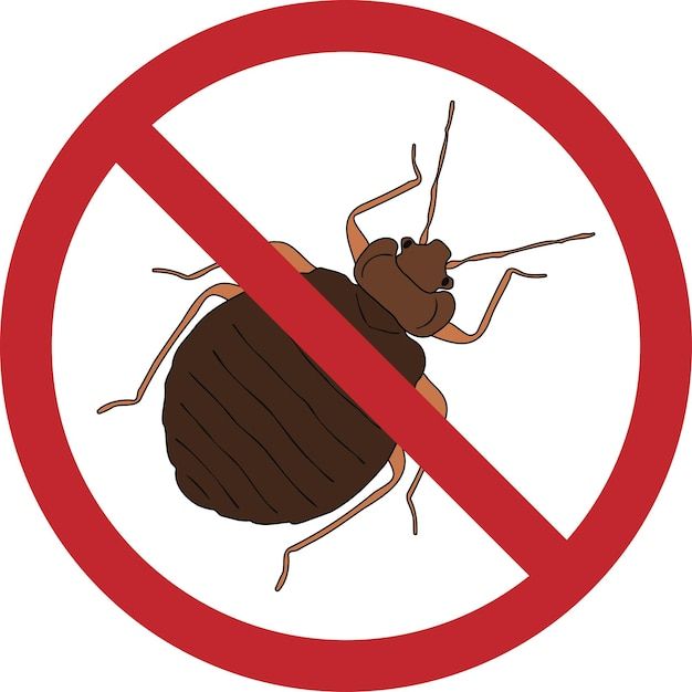 Professional bed bug treatment