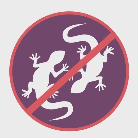 Professional gecko control treatment