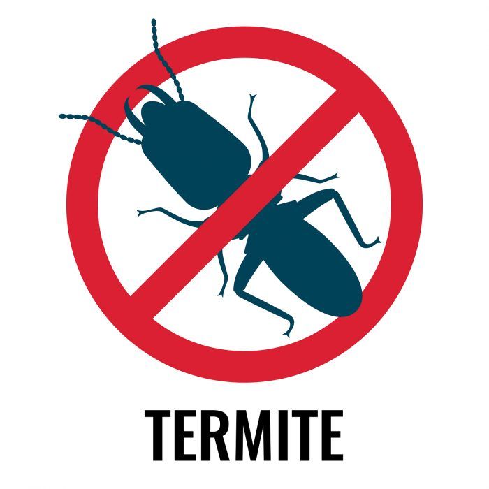 Professional termite control treatment